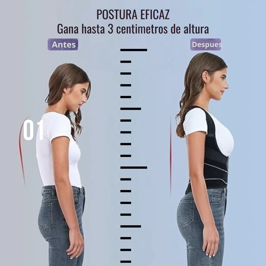 Corrector de Postura ERGOFIT