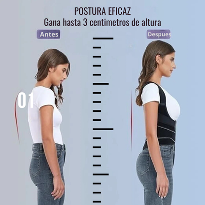Corrector de Postura ERGOFIT